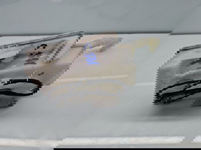 Vas lichid parbriz Volkswagen Golf 6 (5K1) [Fabr 2009-2013] 1K095T453Q