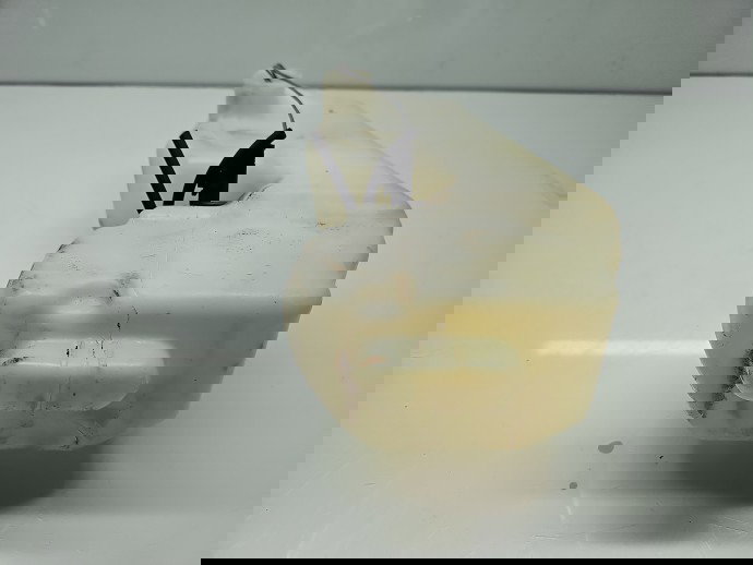 Vas lichid parbriz Dacia Duster [Fabr 2010-2017] 289102833R