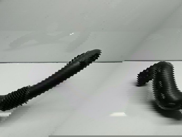 Tub admisie aer Dacia Duster 2 [Fabr 2017-2023] 165556763R 1.5 DCI K9K872 85KW / 115CP