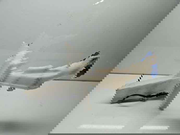 Vas lichid parbriz Volkswagen Passat CC (357) [Fabr 2008-2012] OEM