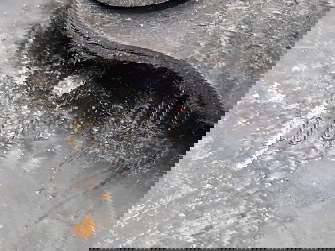 Suport radiator MINI Countryman (R60) [Fabr 2010-2016] 3002243900