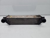 Radiator intercooler Bmw 5 (F10) [Fabr 2011-2016] 7805629 2.0 N47D20 135KW / 184CP