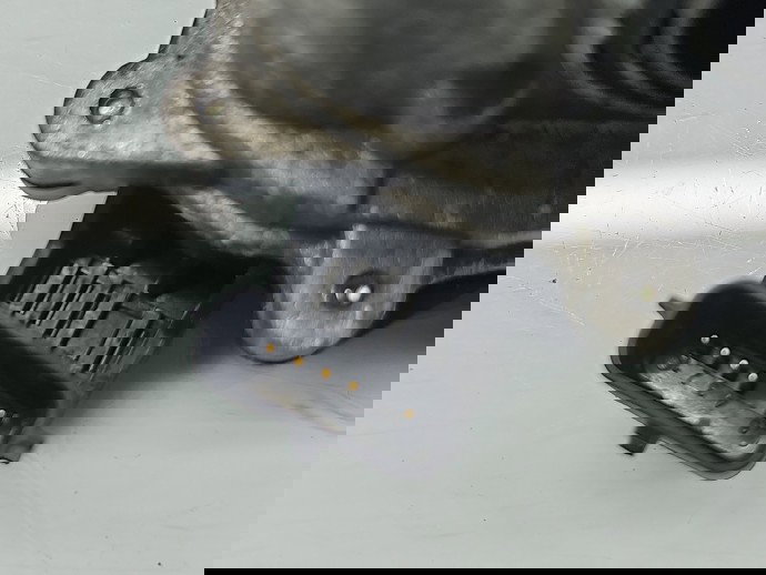 Clapeta acceleratie Renault Clio 4 (B98) Hatchback [Fabr 2012-2020] 161A09794R 1.5 DCI K9K612 66KW / 90CP