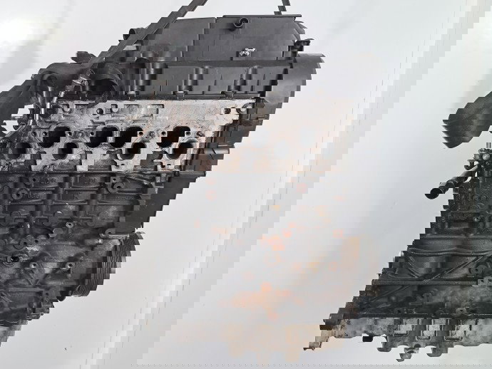 Motor complet ambielat Volkswagen Golf 5 (1K1) [Fabr 2004-2008]  2.0 TDI BMM 103KW / 140CP