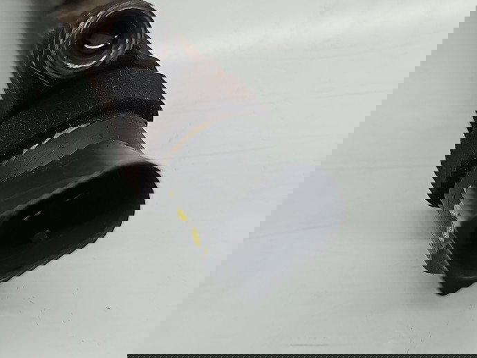 Injector Mercedes Clasa A (W168) [Fabr 1997-2004] A6680700987, 0445110116 1.7 CDI 668942 70KW / 95CP