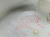 Broasca usa stanga fata Volkswagen Golf 5 Plus (5M1) [Fabr 2005-2008] 1K0837349A