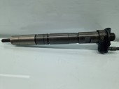 Injector Volkswagen Tiguan (5N) [Fabr 2007-2016] 03L130277 2.0 TDI CAHA 125KW / 170CP