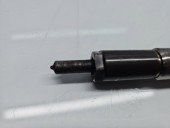 Injector Mercedes Clasa B (W246) [Fabr 2011-2018] 166006212R 1.5 CDI 607951 80KW / 109CP