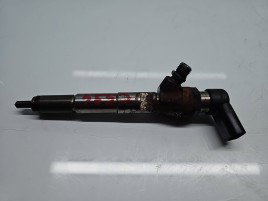 Injector Nissan Qashqai (2) [Fabr 2013-2017] 166006212R 1.5 CDI 607951 80KW / 109CP
