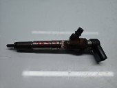 Injector Nissan Qashqai (2) [Fabr 2013-2017] 166006212R 1.5 CDI 607951 80KW / 109CP
