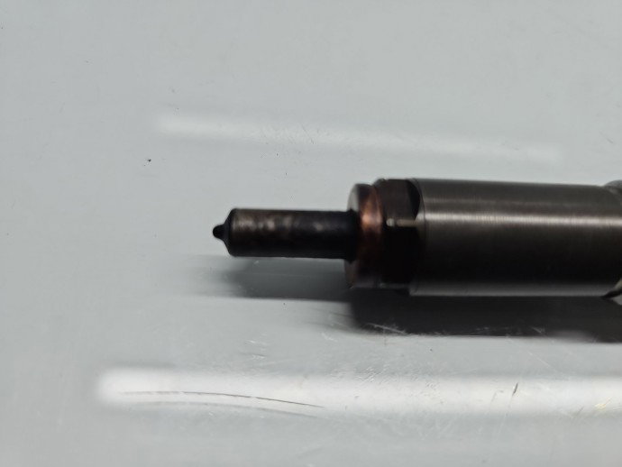 Injector Nissan Qashqai (2) [Fabr 2013-2017] 166006212R 1.5 CDI 607951 80KW / 109CP
