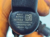 Injector Nissan Qashqai (2) [Fabr 2013-2017] 166006212R 1.5 CDI 607951 80KW / 109CP