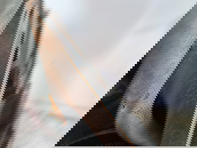 Motor complet ambielat Opel Corsa C (F08, F68) [Fabr 2000-2005] Z14XE 1.4 Benz Z14XE 66KW / 90CP