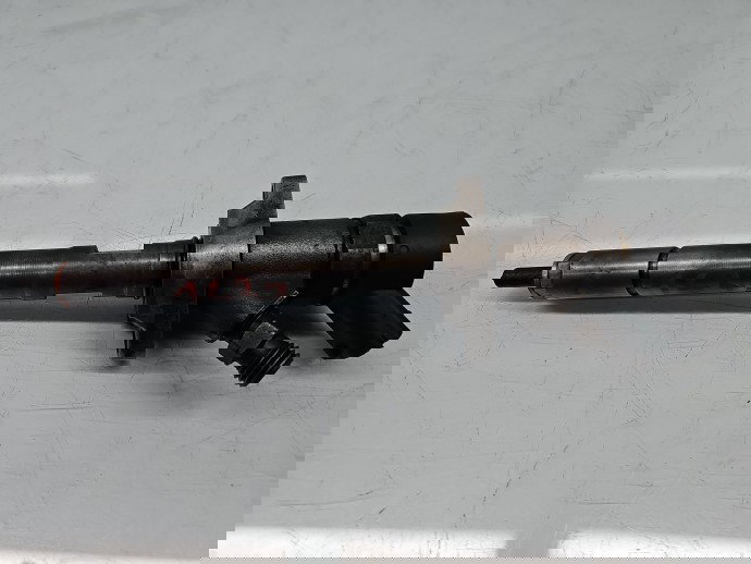 Injector Ford Focus 2 (DA) [Fabr 2004-2012] OEM, 0445110239 1.6 TDCI DV6T 66KW / 90CP