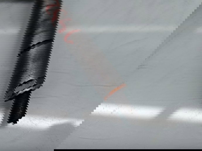 Injector Ford Focus 2 (DA) [Fabr 2004-2012] OEM, 0445110239 1.6 TDCI DV6T 66KW / 90CP