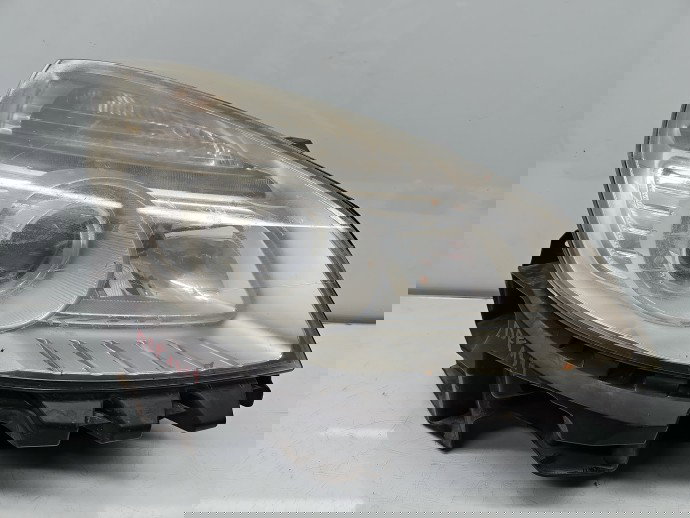 Far dreapta Renault Grand Scenic 2 [Fabr 2003-2008] OEM