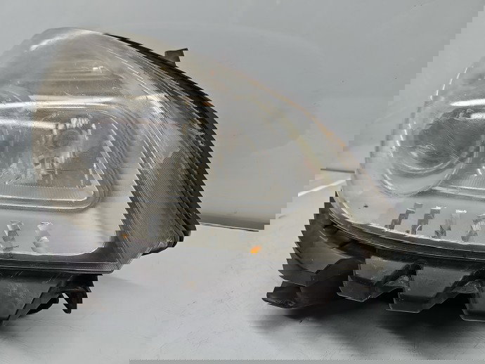 Far dreapta Renault Grand Scenic 2 [Fabr 2003-2008] OEM