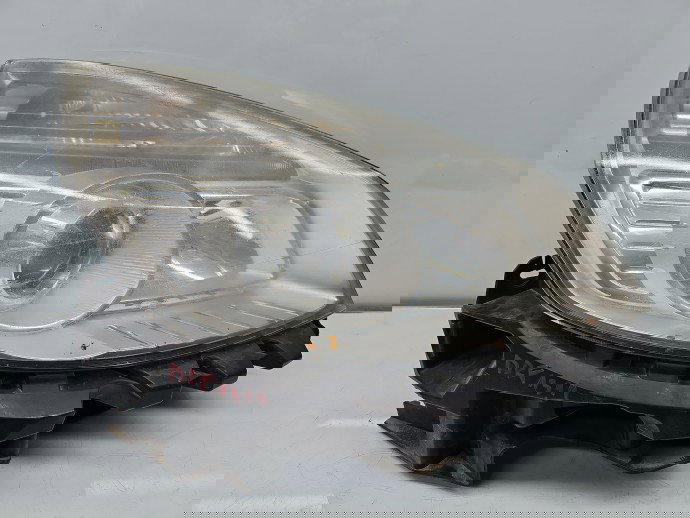 Far dreapta Renault Grand Scenic 2 [Fabr 2003-2008] OEM