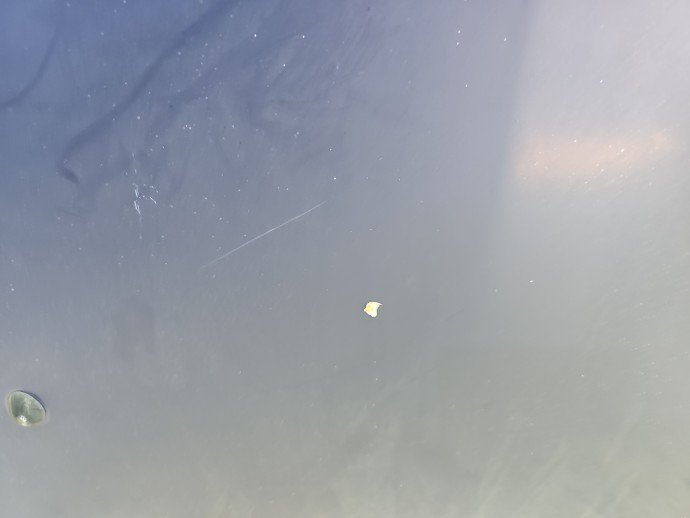 Capota motor Dacia Logan MCV (KS) [Fabr 2007-2012] OV61H