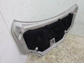 Capota motor Ford Focus 2 (DA) [Fabr 2004-2012] GRI