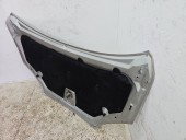 Capota motor Ford Focus 2 (DA) [Fabr 2004-2012] GRI