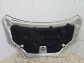 Capota motor Ford Focus 2 (DA) [Fabr 2004-2012] GRI