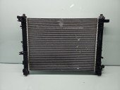 Radiator apa Dacia Dokker [Fabr 2012-prezent] 214100078R 1.0 TCe H4DF480 85KW / 115CP