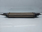 Radiator intercooler Fiat Punto (199) [Fabr 2010-2018] 866452000 1.3 199A9000 55KW / 75CP
