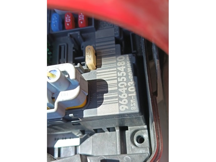 Panou sigurante Citroen C2 (JM) [Fabr 2003-2009] 9664055480