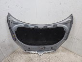 Capota motor Skoda Roomster Praktik (5J) [Fabr 2006-2015] Monovolum  LA7W