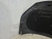 Capota motor Volkswagen Tiguan (5N) [Fabr 2007-2016] Hatchback  LH5X