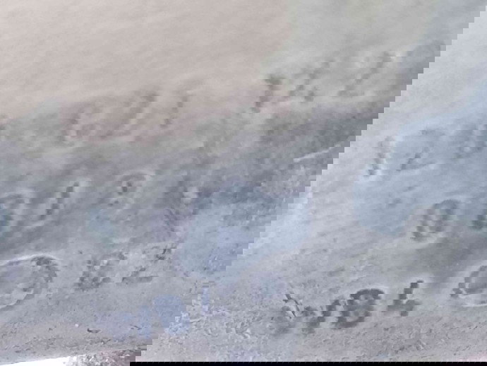 Suport aripa 1Z0821142 Skoda Octavia 2 (1Z3) [Fabr 2004-2013] 1.9 BXE