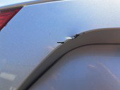 Haion Bmw X3 (E83) [Fabr 2003-2009] Berlina  354 TITANSILBER METL