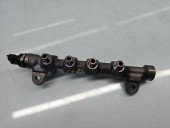 Rampa injectoare Fiat Doblo (263) [Fabr 2009-2019] 55215208 2.0 JTDM 125KW / 170CP