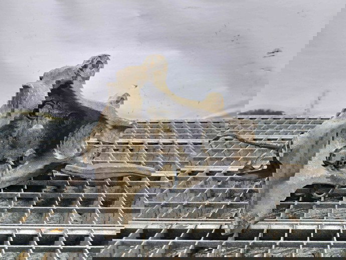 Fuzeta fata stanga Bmw 5 (E60) [Fabr 2004-2010] 6760953L 2.2 M54 125KW  / 170CP 2.2 M54 125KW  / 170CP