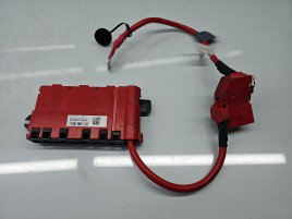 Borna baterie (+) cu capsa Bmw 3 (F30) [Fabr 2012-2017] 922775204