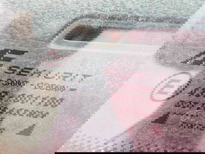 Geam fix dreapta fata OEM Ford Galaxy 1 [Fabr 1995-2006]