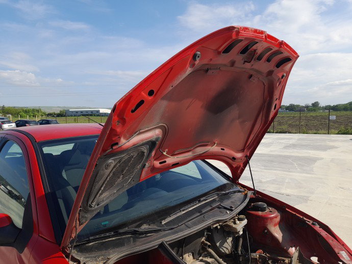 Capota motor PEUGEOT 206 [Fabr 1998-2009] Hatchback