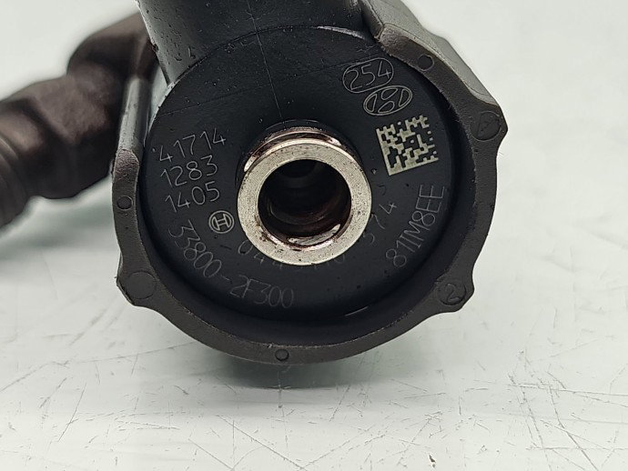 Injector Hyundai ix35 (LM) [Fabr 2010-2017] 33800-2F300 2.0 CRDI D4HA 100KW / 136CP