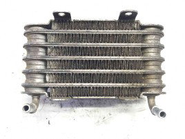 Radiator combustibil 13322247411 Bmw X5 (E53) [Fabr 2000-2006] 3.0