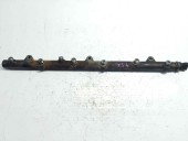 Rampa injectoare 0445216002 Bmw X5 (E53) [Fabr 2000-2006] 3.0