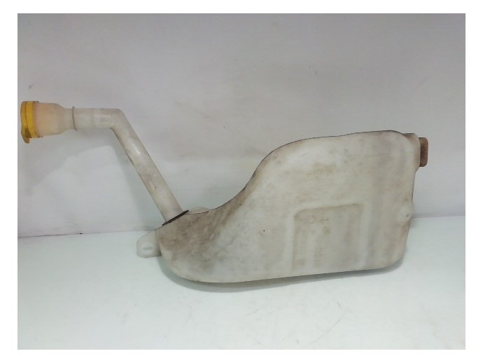 Vas lichid parbriz Renault Megane 3 Coupe 1.6 benz K4M 289100014R 2010-2015
