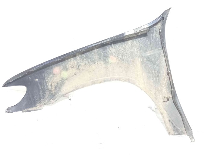 Aripa dreapta fata OEM Bmw X5 (E53) [Fabr 2000-2006] 3.0