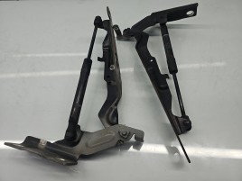 Set balamale capota Volvo S60 II [Fabr 2010-2018] Sedan Facelift, R-Design 30799179, 30799176