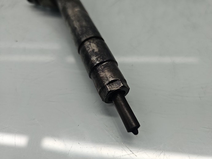 Injector Bmw 1 (E88) [Fabr 2008-2013] 7798446-04, 0445110289 2.0 N47D20 105KW / 143CP1P