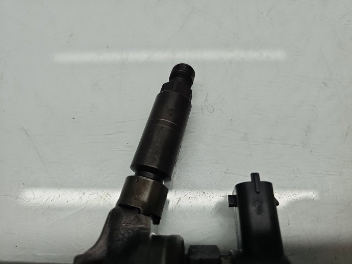 Injector Opel Astra H Hatchback [Fabr 2004-2009] 0445110175