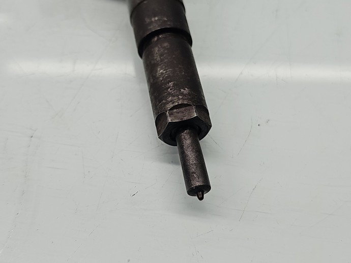 Injector Citroen C3 (I) [ Fabr 2002-2009] 565889, 0445110252 1.4 HDI 8HZ 50KW / 68CP