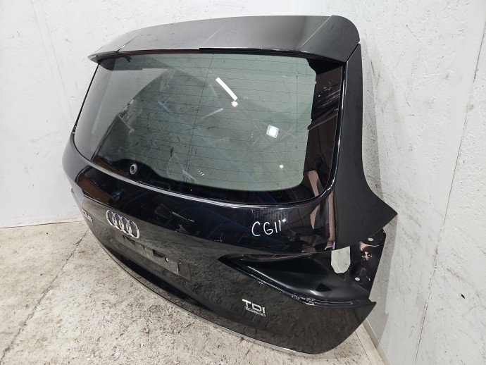 Haion AUDI Q5 (8RB) [Fabr 2008-2016] SUV S-line, Quattro LY9T
