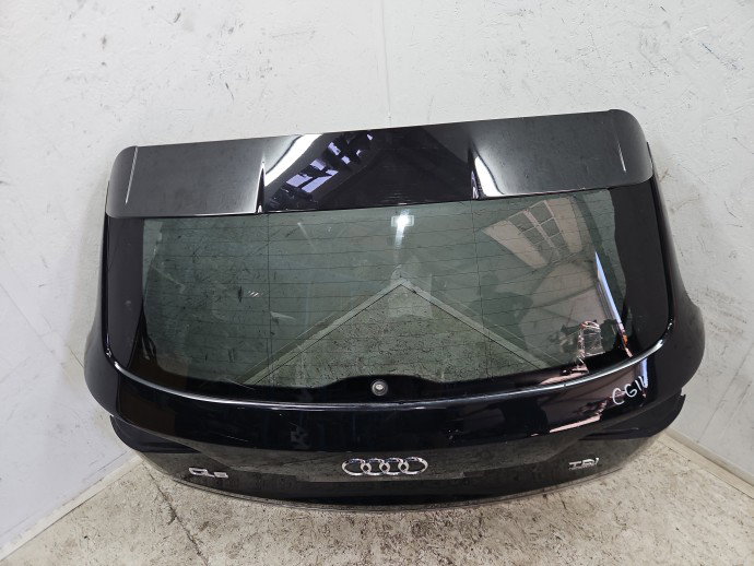 Haion AUDI Q5 (8RB) [Fabr 2008-2016] SUV S-line, Quattro LY9T