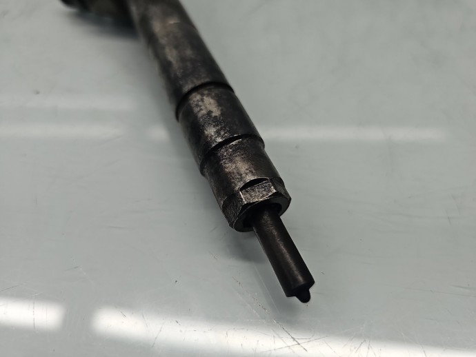 Injector Bmw 3 (E90) [Fabr 2005-2011] 7798446-04, 0445110289 2.0 N47D20 105KW / 143CP1P